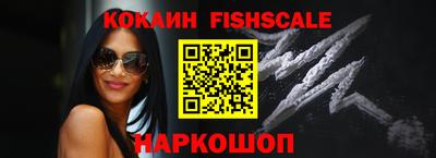 стафф Кингисепп