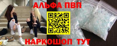 стафф Кингисепп