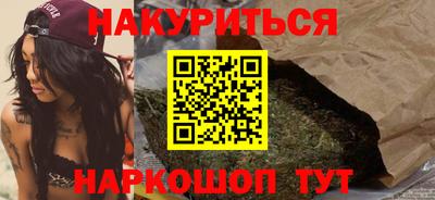 стафф Кингисепп