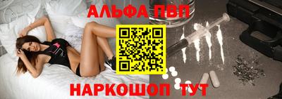 стафф Кингисепп