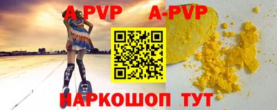стафф Кингисепп