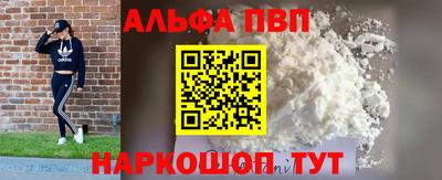 стафф Кингисепп
