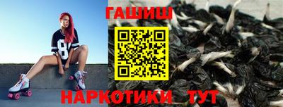 стафф Кингисепп