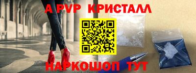 стафф Кингисепп