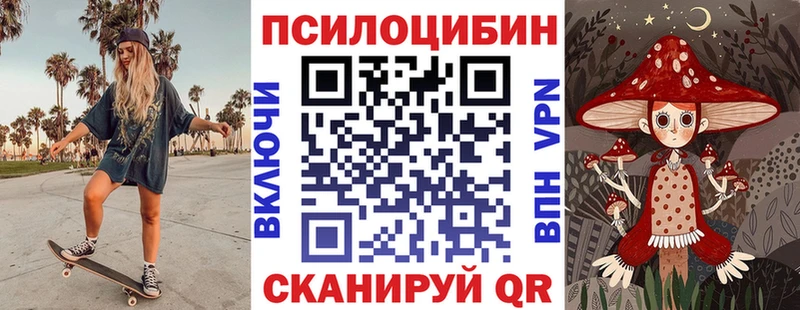 Галлюциногенные грибы Psilocybine cubensis  Новоалтайск 